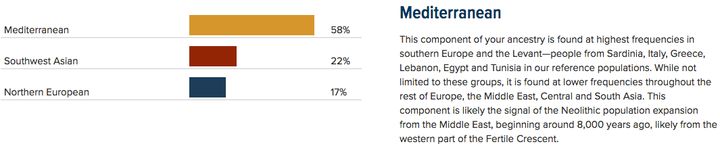 “Regional ancestry” results showing majority-Mediterranean ethnic mix as part of National Geographic’s Genographic Project.