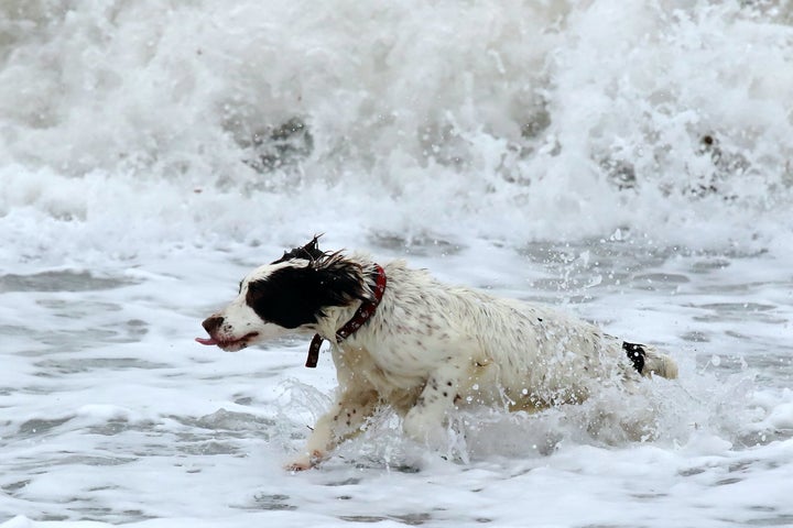 <strong>While northern parts of Britain are set for the worst of Barbara, Dorset was still affected on Friday</strong>