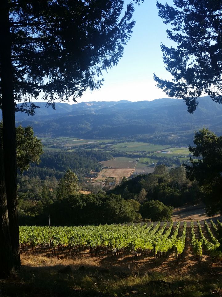 Views for miles ala Cakebread
