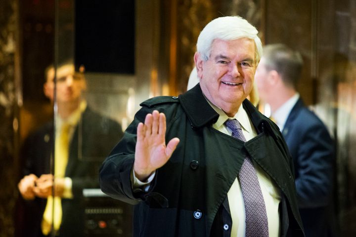 Former House Speaker Newt Gingrich has made a few gaffes as an informal adviser to President-elect Donald Trump.