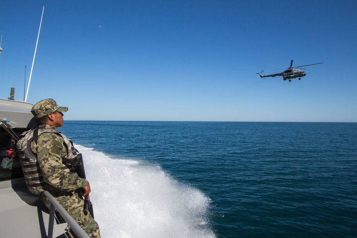 The Mexican Navy has been patrolling the Gulf of California to arrest fisherman who are illegally catching totoaba.