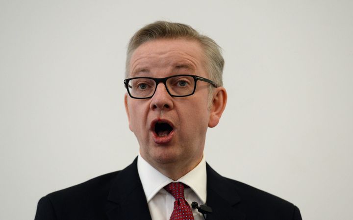 <strong>Michael Gove said there should not be a 'distaste' for experts</strong>