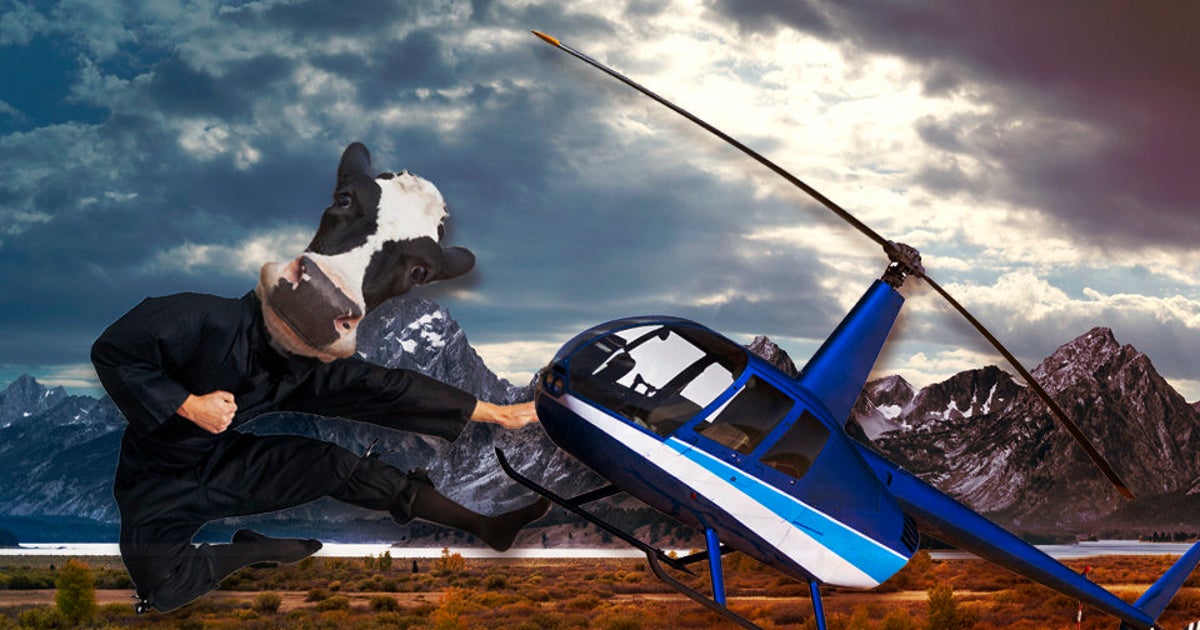 The Top 10 Weirdest Stories Of 2016 (And Let's Try To Leave Politics