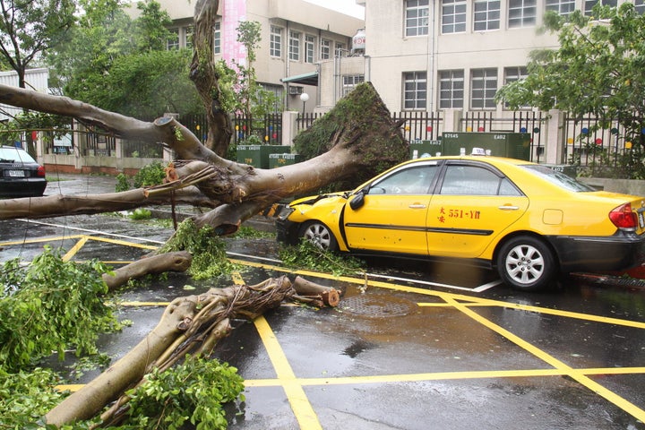 Trees are blown over by Typhoon Soudelor on August 8, 2015 in Taipei, Taiwan of China.