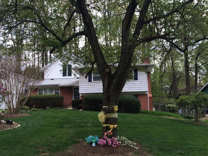 Ribbons and flowers surround a tree outside the Weinstein home in Rockville, Maryland, on April 22, 2015. Warren Weinstein was held captive after his abduction in Pakistan and was later killed in a counterterrorism operation. 