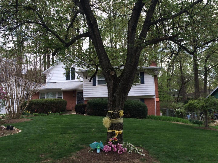 Ribbons and flowers surround a tree outside the Weinstein home in Rockville, Maryland, on April 22, 2015. Warren Weinstein wa