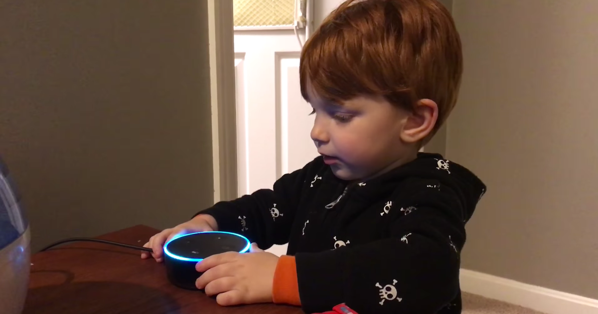 Kid Asks Amazon Alexa For Nursery Rhyme, Gets Earful Of Dildo Porn