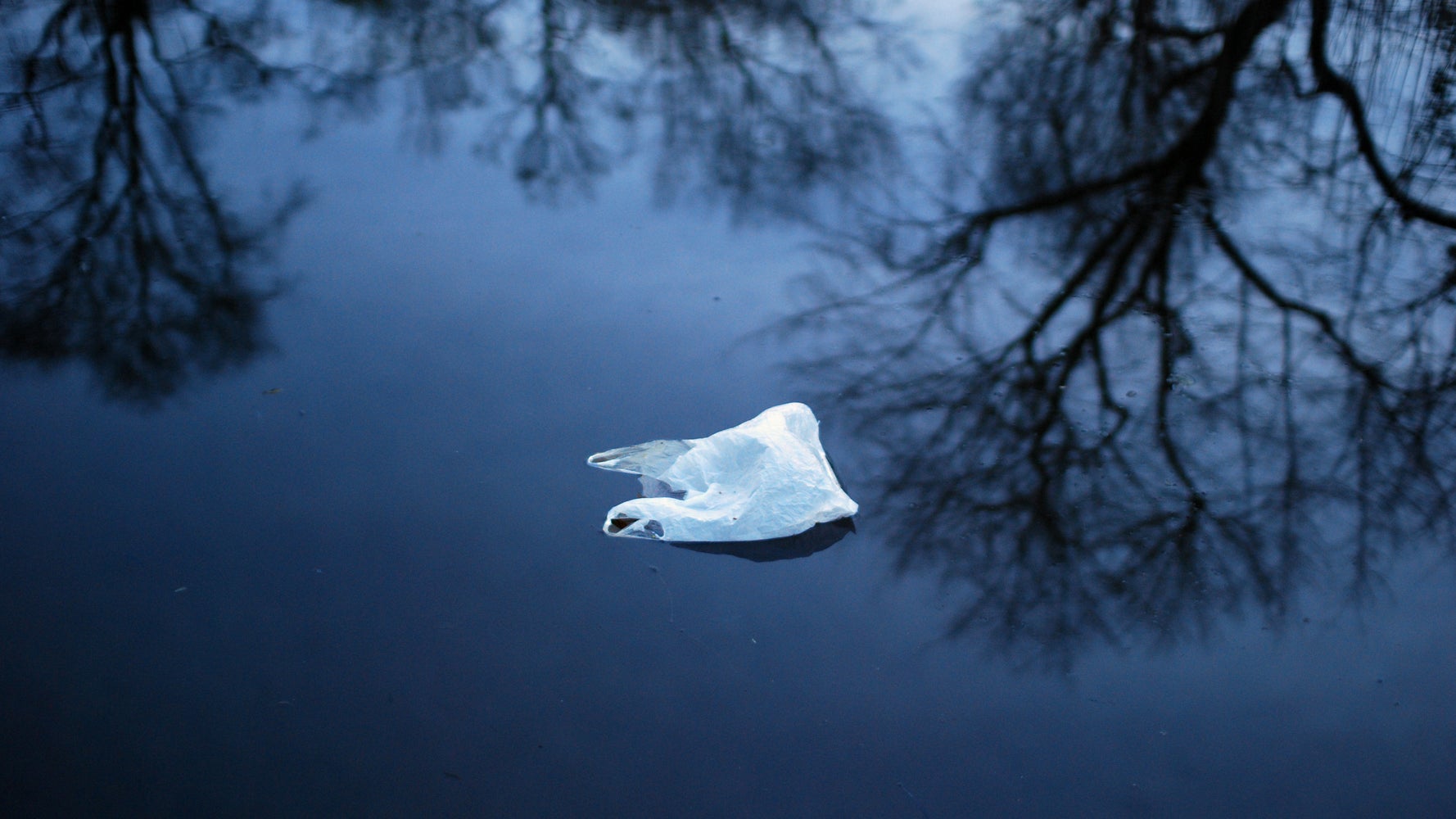 Michigan Bans Banning Plastic Bags Because Plastic Bag Bans Are Bad For