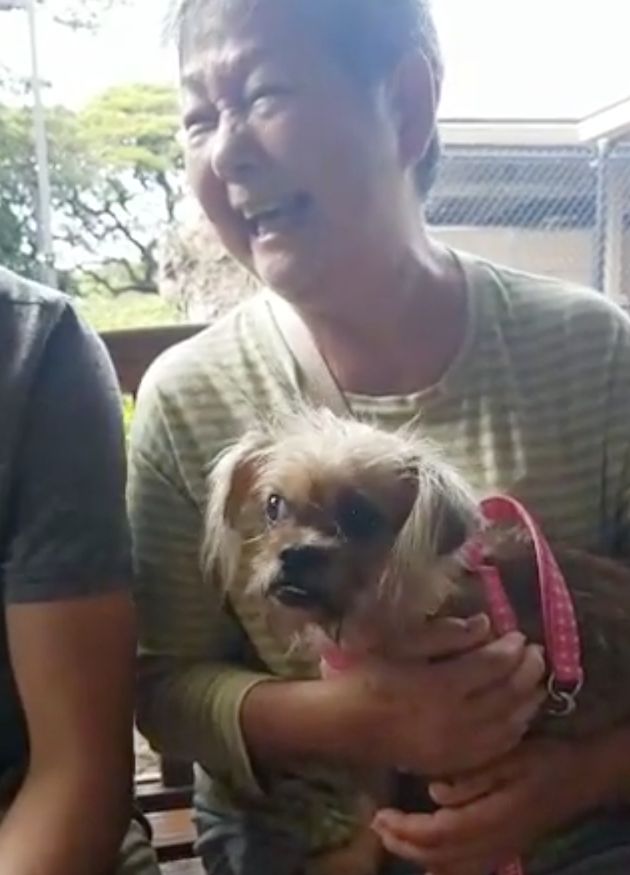 ホノルルの動物保護施設が 保護動物ゼロ に 最後の養子となった犬に温かい送別式 動画 ハフポスト