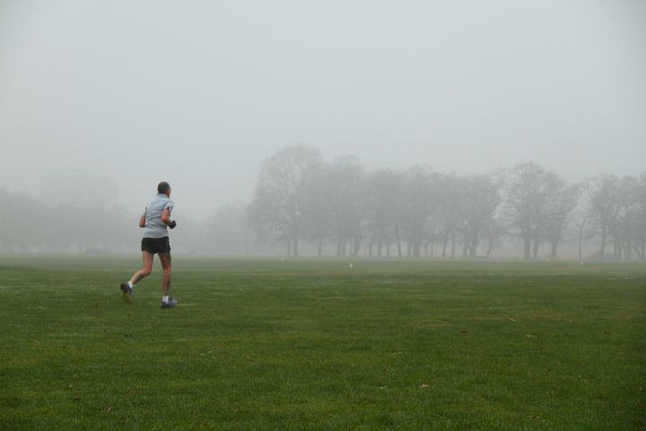 <strong>A jogger runs towards a grove of trees in Wanstead park yesterday</strong>
