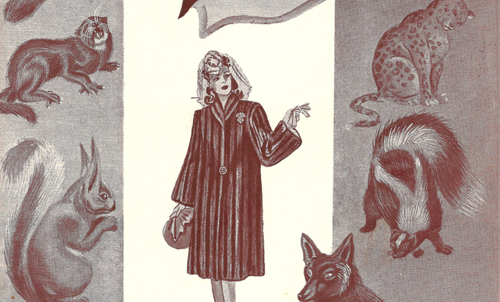 <p>Detail from “<em>Fur Fashions: Fall & Spring 1942 1943</em>“</p>