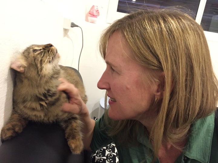 <p>Me at a cat cafe in Bangkok.</p>