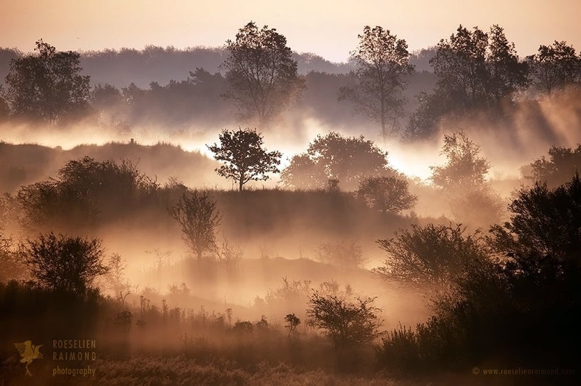 Sunrise in the dunes