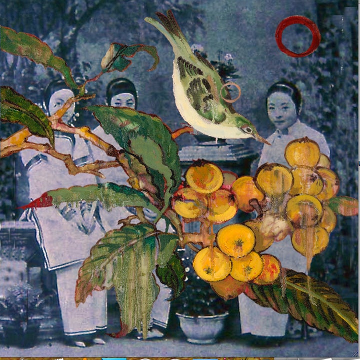 <p>Loquats Blue</p>