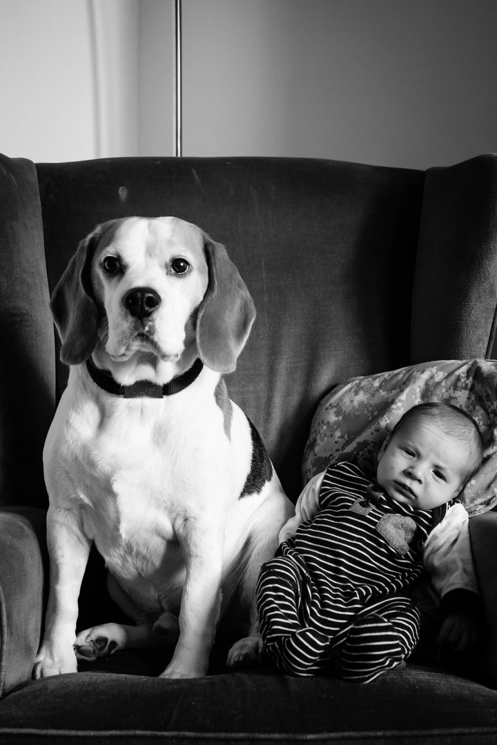 For the past two years, Jones has taken monthly photos of his son Stan sitting in a chair with their 6-year-old dog Jasp