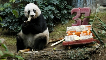 http://4o2o.com/news/068f199931.html