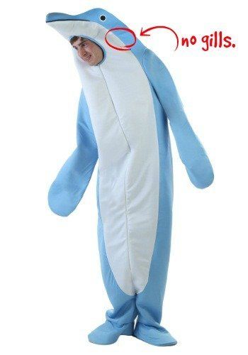 This is a dolphin costume.