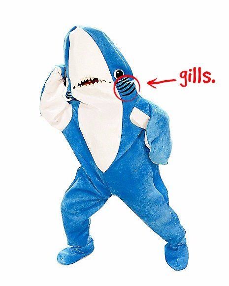 This is a shark costume.