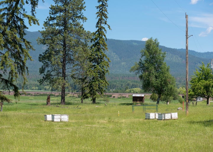 A pasture in Whitefish, Montana. The <a href="http://staging.hosted.ap.org/dynamic/stories/U/US_WHITE_SUPREMACISTS_MONTA