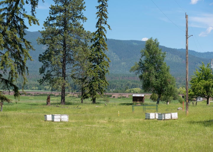 A pasture in Whitefish, Montana. The ski resort town of 6,600 people has become the target for a proposed anti-Semitic march.