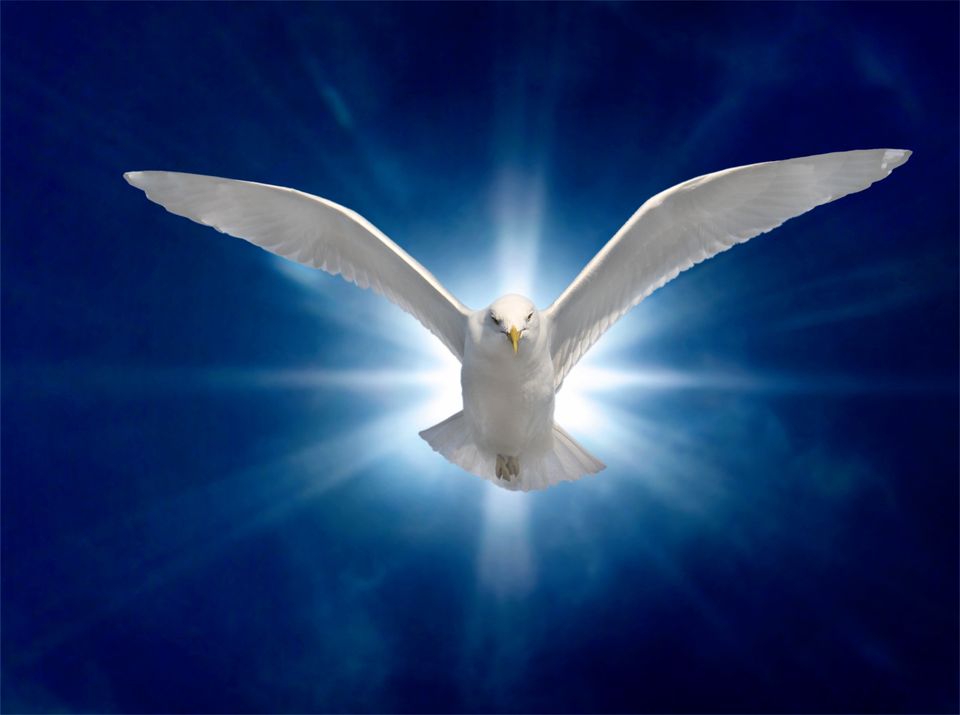 The Holy Spirit -- all you can handle! Until your soul is stuffed sick!