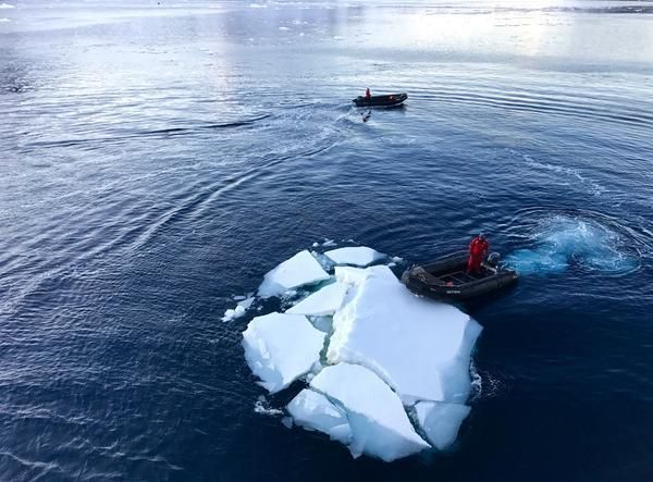 It was common for zodiac boats to have to push huge chunks of ice away in order to utilize the gangway. 