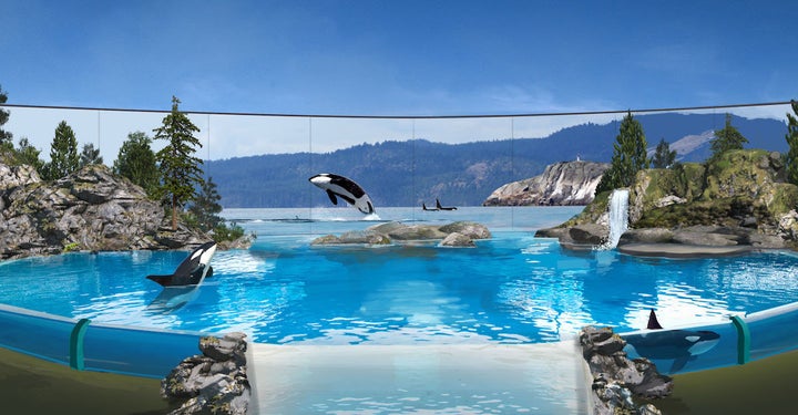 A digital rendering of the upcoming Orca Encounter "live presentation," which SeaWorld says will be focused on the animals' "natural behaviors, physical attributes, intelligence, social structures and unique relationship with mankind."