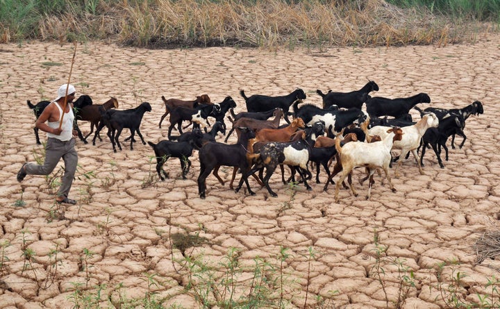 Last summer, the India Meteorological Department recorded the country's hottest temperature ever: 51 degrees Celsius (or 123.8 degrees Fahrenheit) in the city of Phalodi, Rajasthan, on May 19.