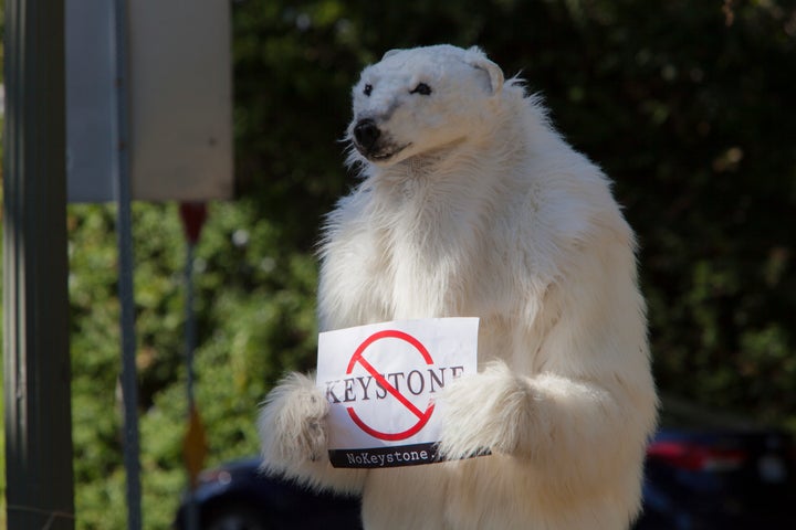 A bear, similar to the one above, followed Obama around Hawaii during his 2013 Hawaii vacation.