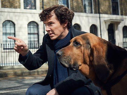 'The Six Thatchers' saw Benedict Cumberbatch co-starring with a bloodhound