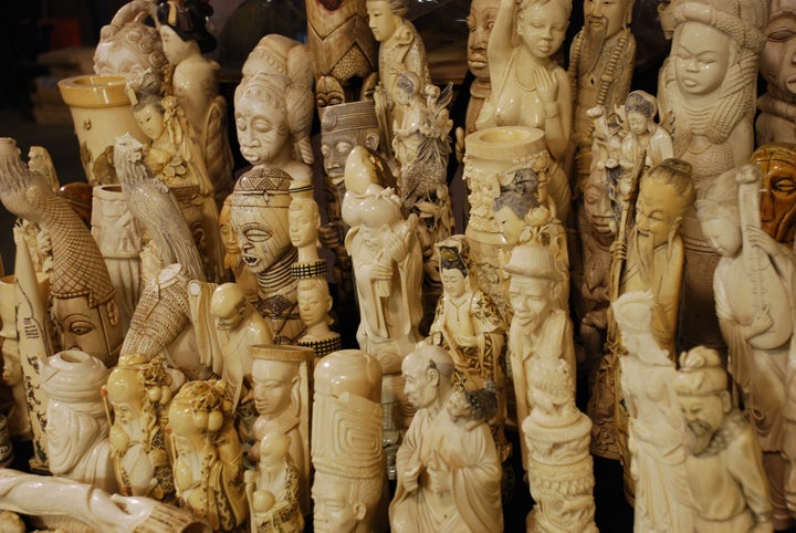 These illegal ivory carvings were seized by U.S. Fish and Wildlife Service Law Enforcement special agents, and destroyed in 2013. China’s decision to shut down its ivory trade will make it harder for criminals to smuggle and sell illegal ivory and ivory products like these.