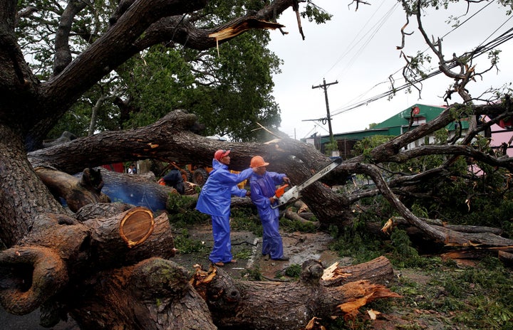 Government workers cut branches of an uprooted tree along a road after Typhoon Haima struck Laoag city, Ilocos Norte in northern Philippines, October 20, 2016.