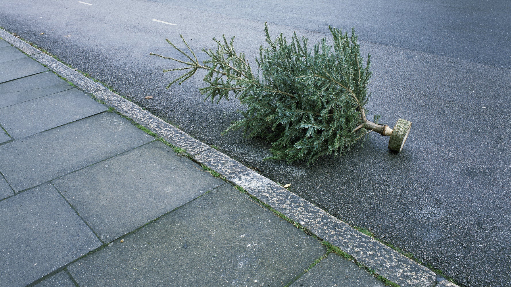 This Is When You Should Take Your Christmas Tree Down HuffPost UK Life