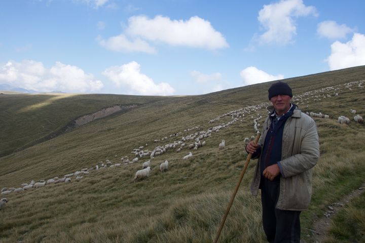 A shepherd in the Fagaras Mountains, Romania.