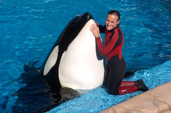 Dawn Brancheau, a whale trainer at SeaWorld Adventure Park, shown performing on December 30, 2005, was killed in 2010