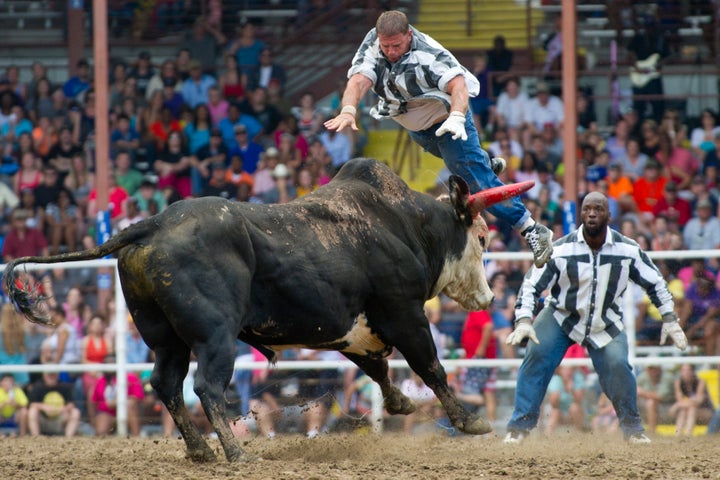 An inmate is struck by a bull in "guts and glory" during the Angola Prison Rodeo at the Louisiana State Penitentiary.