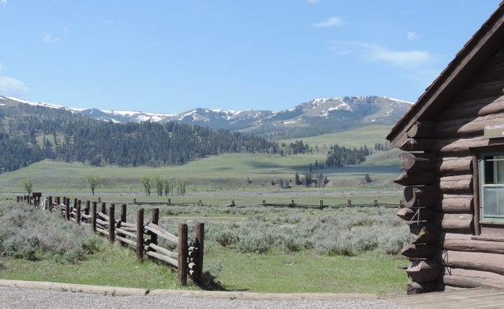 Lamar Valley, Yellowstone National Park