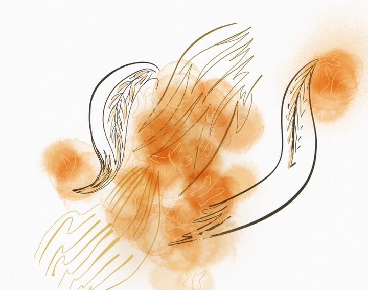 Confused or Co-fused? | HuffPost Contributor