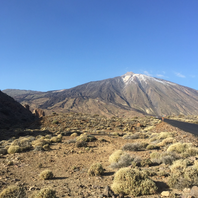 <p>El Tiede</p>