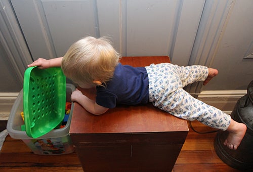 <p><strong>Arwen goes for the LEGO.</strong></p>