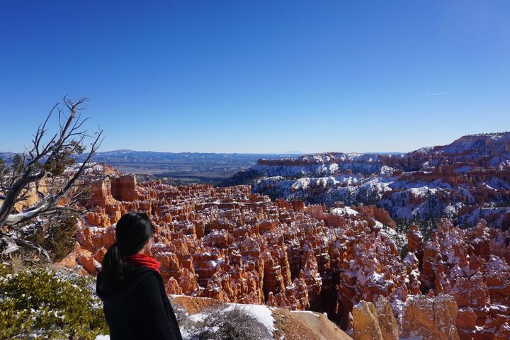 Overlooking the Bryce Canyon