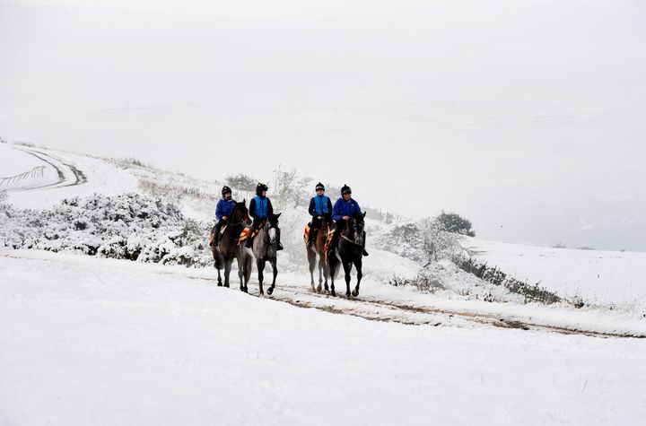 Racehorses return through deep snow following exercise on the gallops on Middleham Moor, North Yorkshire.