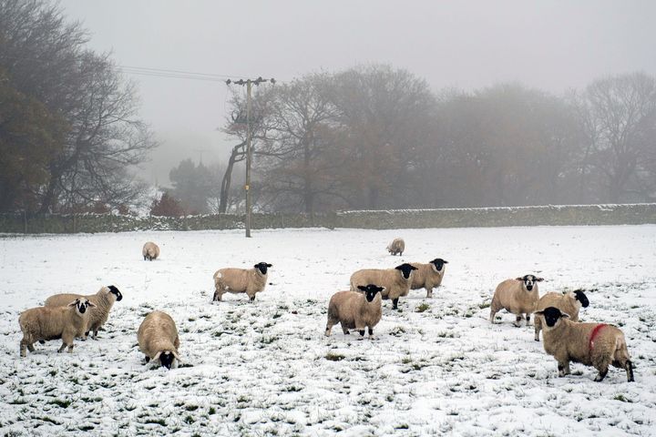 Many areas of the UK could see snowfall over the coming days