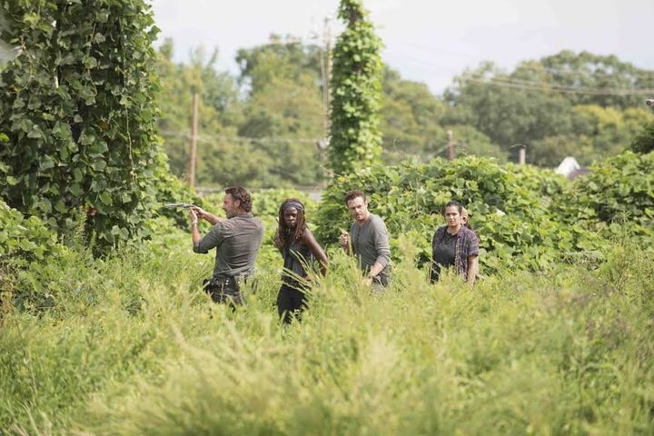 AMC making sure the show doesn't get lost in the weeds. Hopefully.