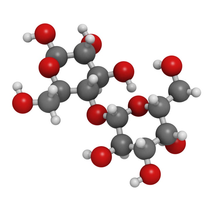 This is what the milk sugar molecule, lactose, looks like.