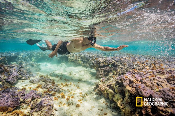 “For a guy who is managed to the second and is always in suits and ties, being out in the middle of the ocean had to be a real treat,” photographer Brian Skerry said. He said he hopes this image of President Barack Obama snorkeling will draw attention to ocean conservation efforts.
