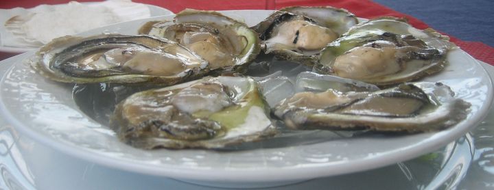 Ston Oysters - Vila Koruna Restuarant, Mali Ston