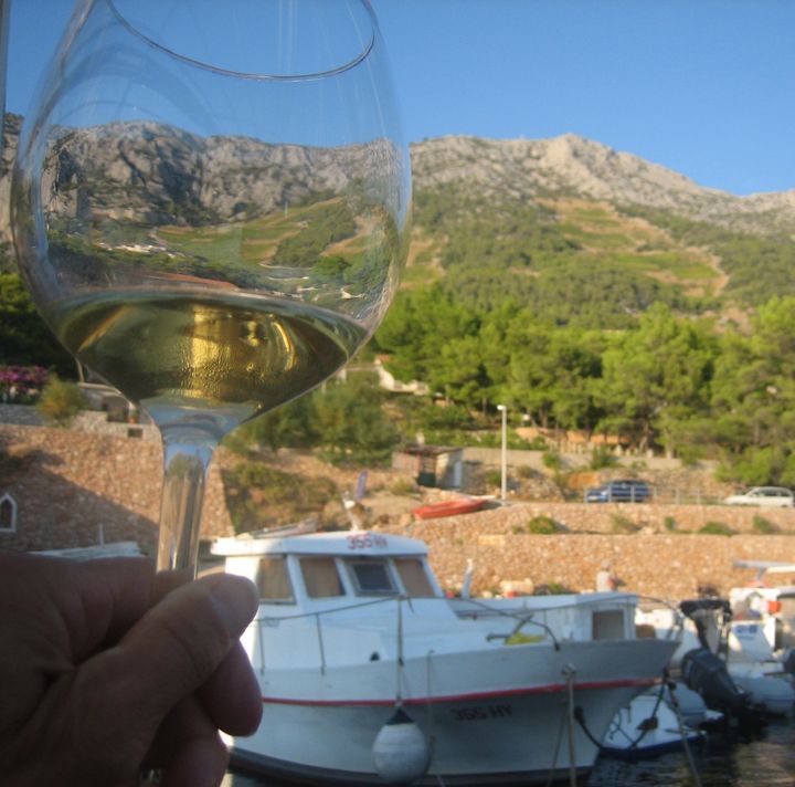 A view vineyards - Zlatan Otok Winery, Hvar