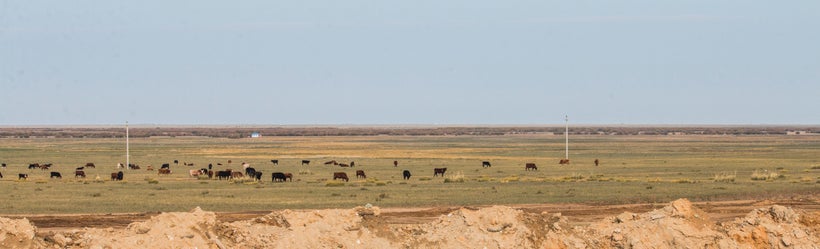 Chinese border next to Khalkhgol where Batbayar was planning to cross to Mongolia with the teacher in the middle of the night