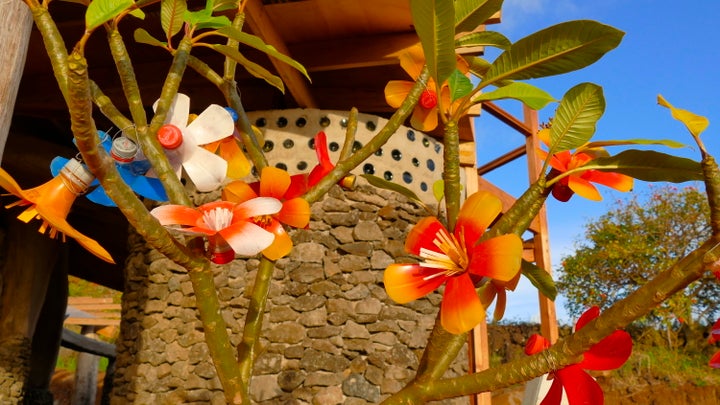 Flowers made from recycled plastic bottles decorating the entrance to the Toki School